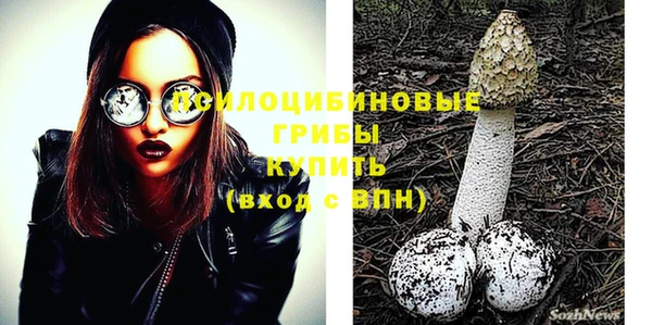 apvp Балабаново