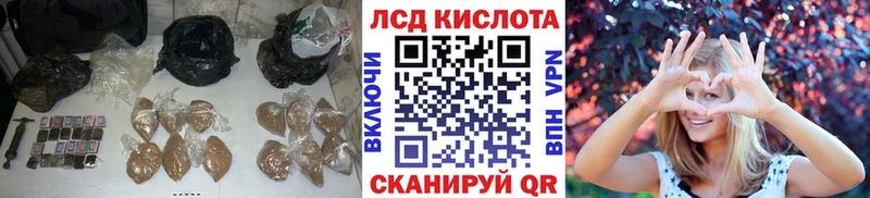 Купить где  Грязи  Лсд 25 экстази кислота 
