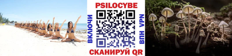 Купить где  Грязи  Галлюциногенные грибы мицелий 